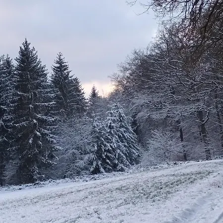 Naturidylle Meulenwald - Familie Pauls